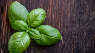 garnishing-instructions-image